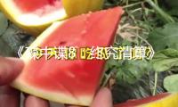 《碟中諜8：終究清算》票房口碑雙豐收！打響暑期檔電影熱潮榜首槍！