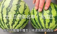 白玉蘭獲獎(jiǎng)名單！宋佳白玉蘭封后，張桂梅式講話戳哭全網(wǎng)