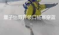 章子怡剪開領口楊冪穿藍裙搶風頭？女明星為博出位真的很拼！