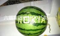 六福集團估計2025財年溢利跌落約40%
