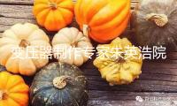 變壓器制作專家朱英浩院士去世