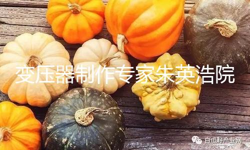 【黑料不打烊網址】黑料不打烊網址變壓