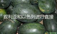 敘利亞和以色列進行直接商洽 推進達到平和協議