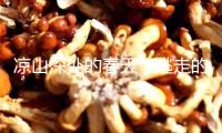 涼山深處的春天：逃走的“壞女性”