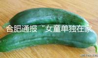 合肥通報“女童單獨在家餓肚子隔窗向路人求助”查詢狀況
