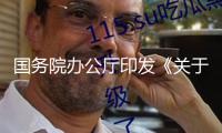 國務(wù)院辦公廳印發(fā)《關(guān)于進一步完善信譽修正準(zhǔn)則的實施方案》