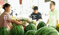 在抗癌戰場投下“智能制導武器”