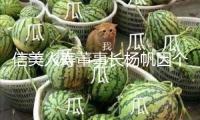 信美人壽董事長楊帆因個人原因辭去職務，總經理胡晗將接任