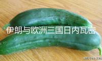 伊朗與歐洲三國(guó)日內(nèi)瓦密談3小時(shí)：以方停火是交際處理?xiàng)l件