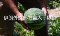 伊朗外交部發言人：以色列突擊醫務人員是“戰役罪”