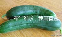 一“布”難求，我國盲盒撬動國際潮玩商場
