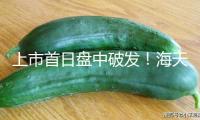 上市首日盤中破發！海天味業百億港元募資難解增加焦慮？補課國際化急尋“第二春”