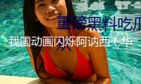 我國(guó)動(dòng)畫閃爍阿訥西（華音環(huán)洋）