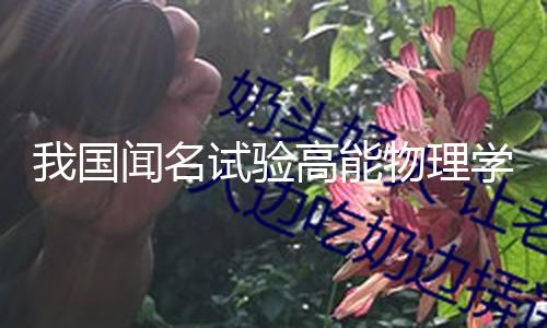 【吃瓜51】
