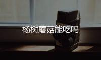 楊樹蘑菇能吃嗎