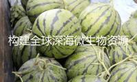 構建全球深海微生物資源庫，聯合國這項大科學方案全球總部設在上海