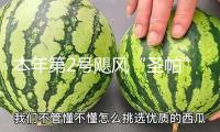 本年第2號颶風(fēng)“圣帕”生成