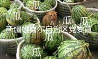 新疆維吾爾自治區(qū)黨委首要負責同志職務調整，陳小江任新疆維吾爾自治區(qū)黨委書記