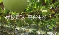 學校足球  高興生長