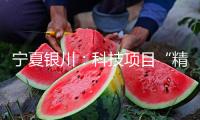 寧夏銀川：科技項目“精準滴灌” 助葡萄酒工業“科技提質”