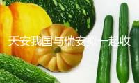 天安我國與瑞安擬一起收買永業城市更新公司50%股份，參加開發上海黃浦項目