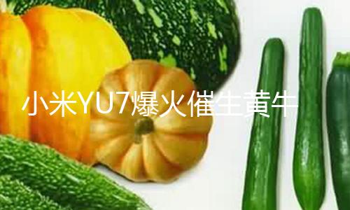 【黑料網站入口】