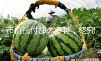 市價托付那么多種，終究怎樣用？