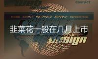 韭菜花一般在幾月上市
