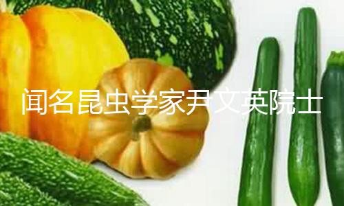 【吃瓜網官網】