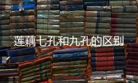 蓮藕七孔和九孔的區別