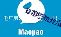 老廠房改形成熱潮，“出圈”的為何不多？