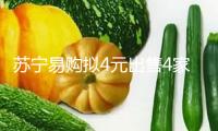 蘇寧易購擬4元出售4家家樂福子公司：公司重心聚集家電3C 估計增利5.72億元