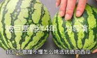 被巨賈羈絆4年，為導演流產(chǎn)2次，男閨蜜送她5個億“隨意作”，天然生成反骨的她，憑什么這么好命？