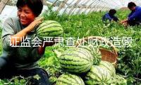 證監(jiān)會嚴(yán)肅查處財政造假案子，初次對合作造假方同步追責(zé)
