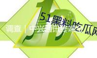調(diào)查｜中興通訊終端全“AI”化，千元、百元機AI手機遠景怎么？