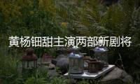 黃楊鈿甜主演兩部新劇將開播，天價(jià)耳環(huán)相關(guān)疑問咋還沒定論