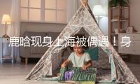 鹿晗現身上海被偶遇！身段消瘦容貌大變成了“紙片人”