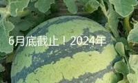 6月底截止！2024年度個稅匯算抓住辦 攻略來了→